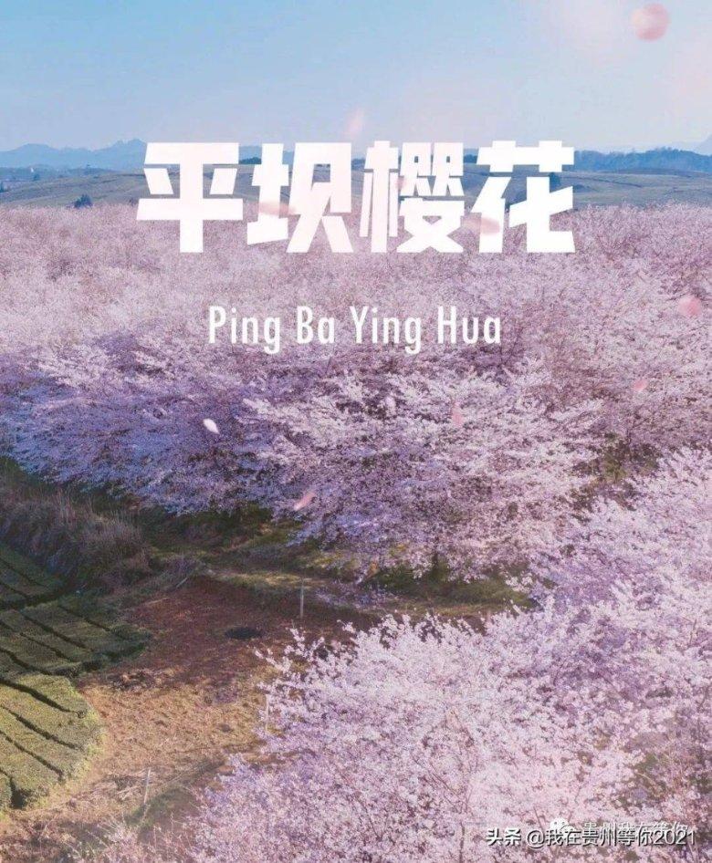 来凯医药-B(02105)：AFURESERTIB联合紫杉醇治疗铂耐药卵巢癌(PROC)(PROFECTA-II)的顶线数据公布